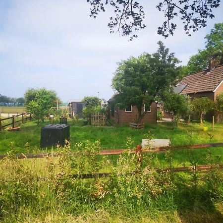 Trekkershut - Tiny House - Hikers Cottage Wijster ภายนอก รูปภาพ