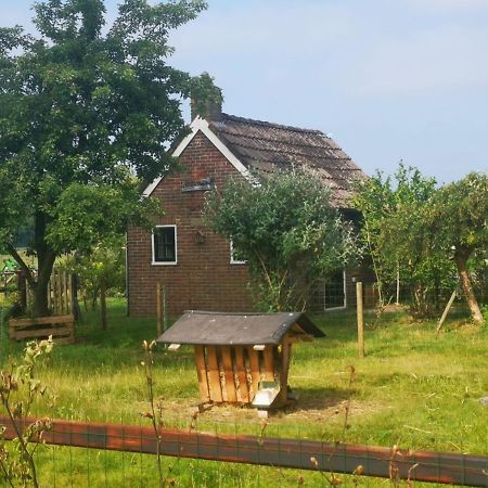 Trekkershut - Tiny House - Hikers Cottage Wijster ภายนอก รูปภาพ