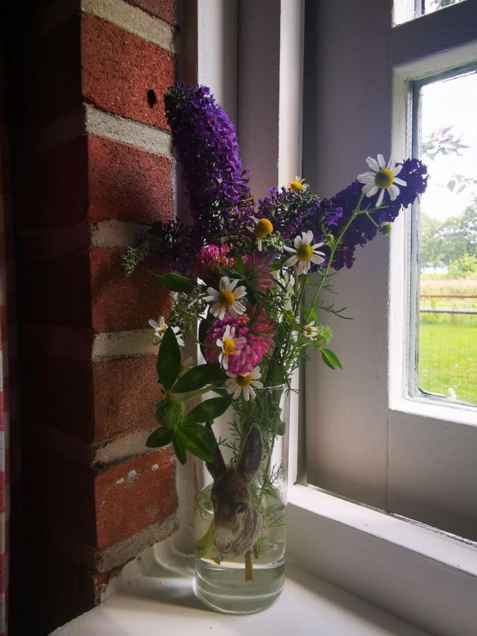 Trekkershut - Tiny House - Hikers Cottage Wijster ภายนอก รูปภาพ