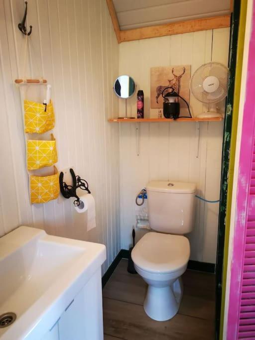 Trekkershut - Tiny House - Hikers Cottage Wijster ภายนอก รูปภาพ